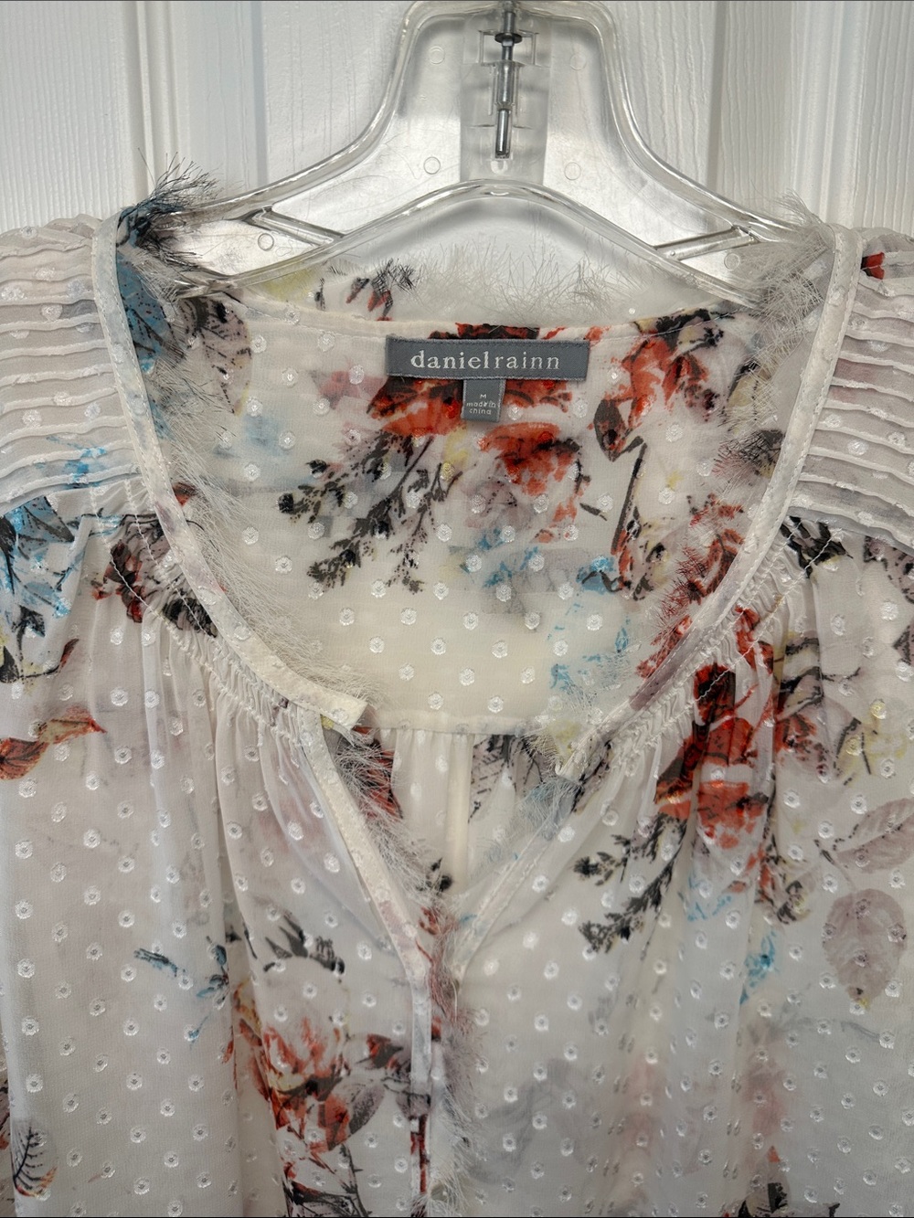 Daniel Rainn Ivory Sheer Swiss Dot Blouse with Multicolor Floral Print - Picture 5 of 9